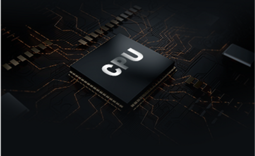 Processor