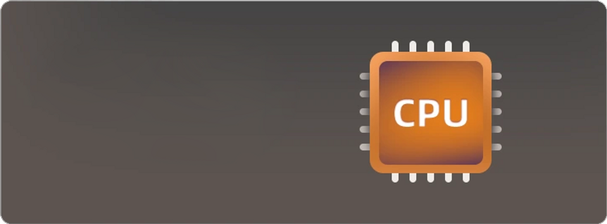 Processor